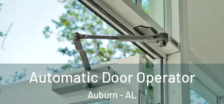  Automatic Door Operator Auburn - AL