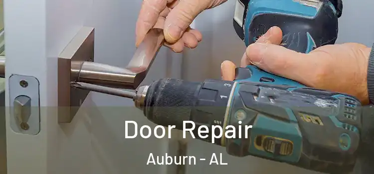  Door Repair Auburn - AL