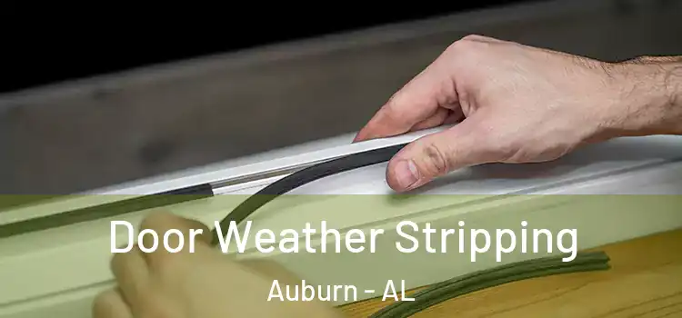  Door Weather Stripping Auburn - AL