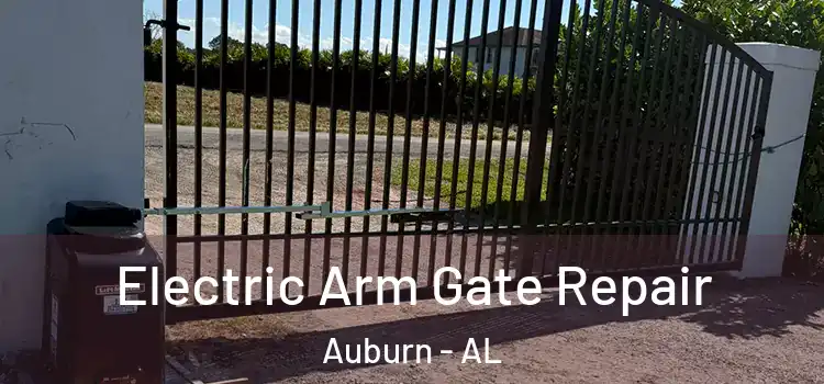  Electric Arm Gate Repair Auburn - AL