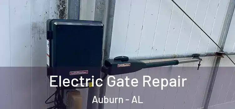  Electric Gate Repair Auburn - AL
