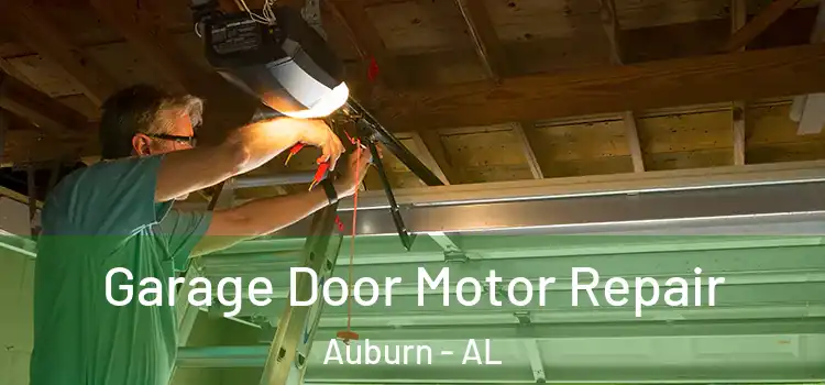 Garage Door Motor Repair Auburn - AL
