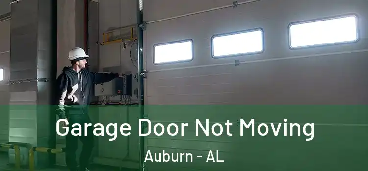  Garage Door Not Moving Auburn - AL
