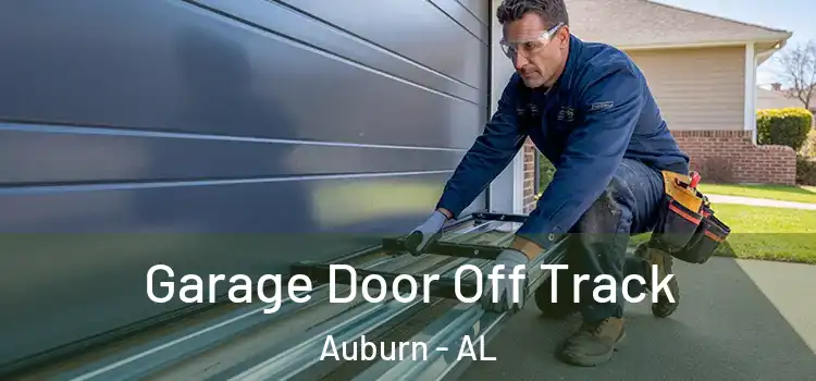  Garage Door Off Track Auburn - AL