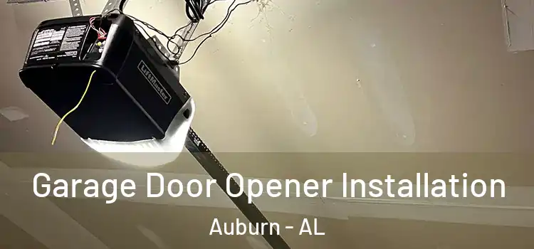  Garage Door Opener Installation Auburn - AL