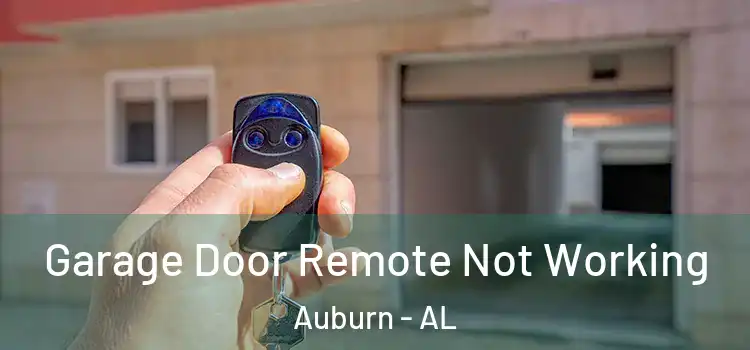 Garage Door Remote Not Working Auburn - AL