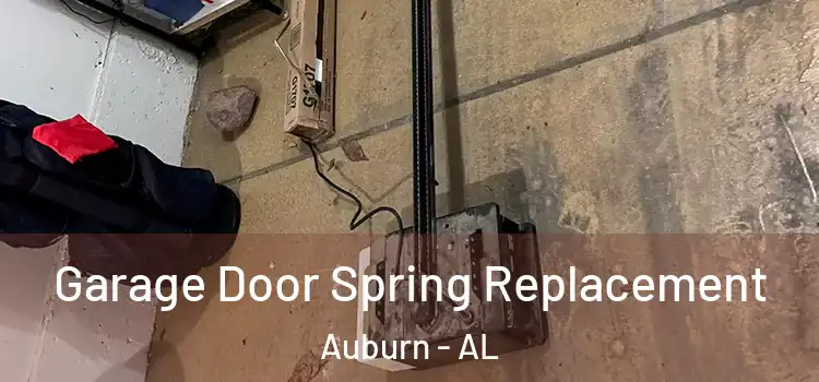  Garage Door Spring Replacement Auburn - AL