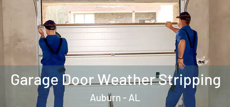  Garage Door Weather Stripping Auburn - AL