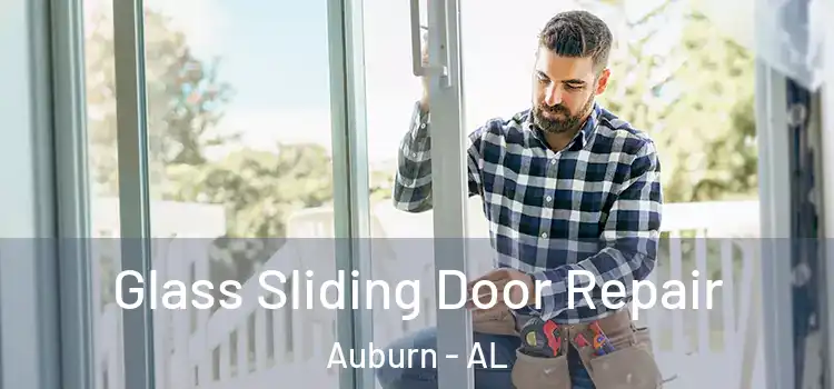  Glass Sliding Door Repair Auburn - AL