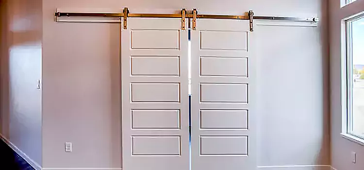 Glass Barn Door with Installation Hardware Kit Auburn