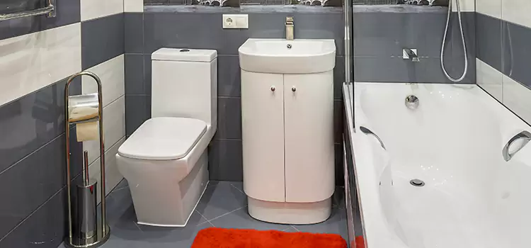 Hansgrohe Shaving Mirror Auburn