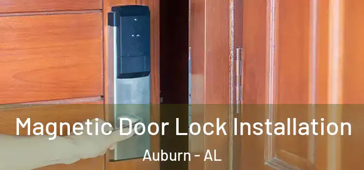  Magnetic Door Lock Installation Auburn - AL