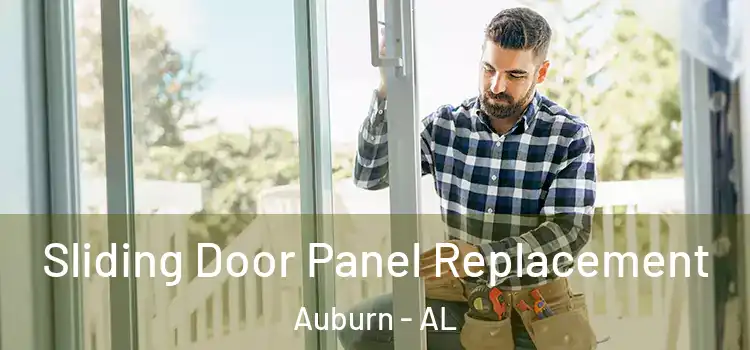 Sliding Door Panel Replacement Auburn - AL