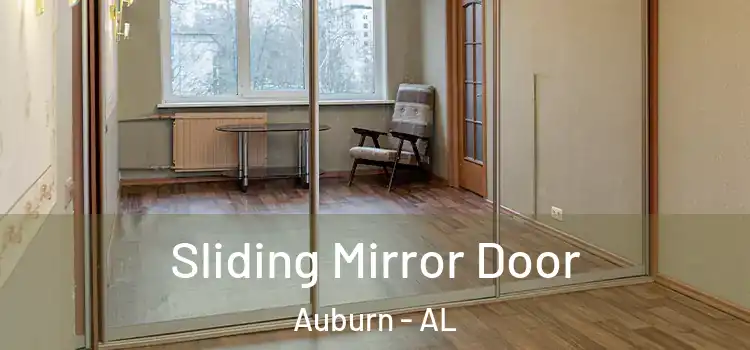  Sliding Mirror Door Auburn - AL